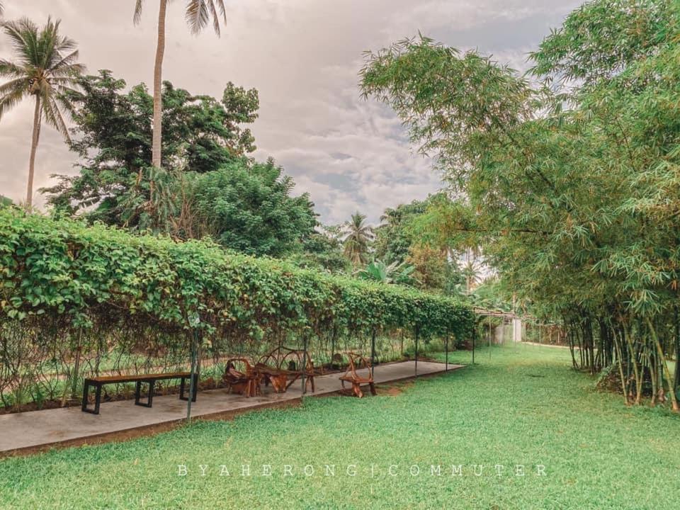 Dreamink Farm Og Myl'S Place Sorsogon Εξωτερικό φωτογραφία