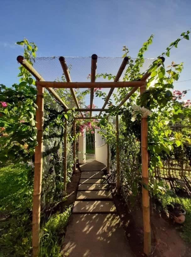 Dreamink Farm Og Myl'S Place Sorsogon Εξωτερικό φωτογραφία