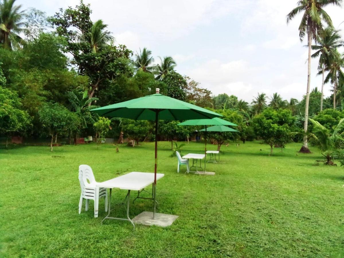 Dreamink Farm Og Myl'S Place Sorsogon Εξωτερικό φωτογραφία