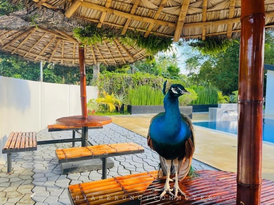 Dreamink Farm Og Myl'S Place Sorsogon Εξωτερικό φωτογραφία